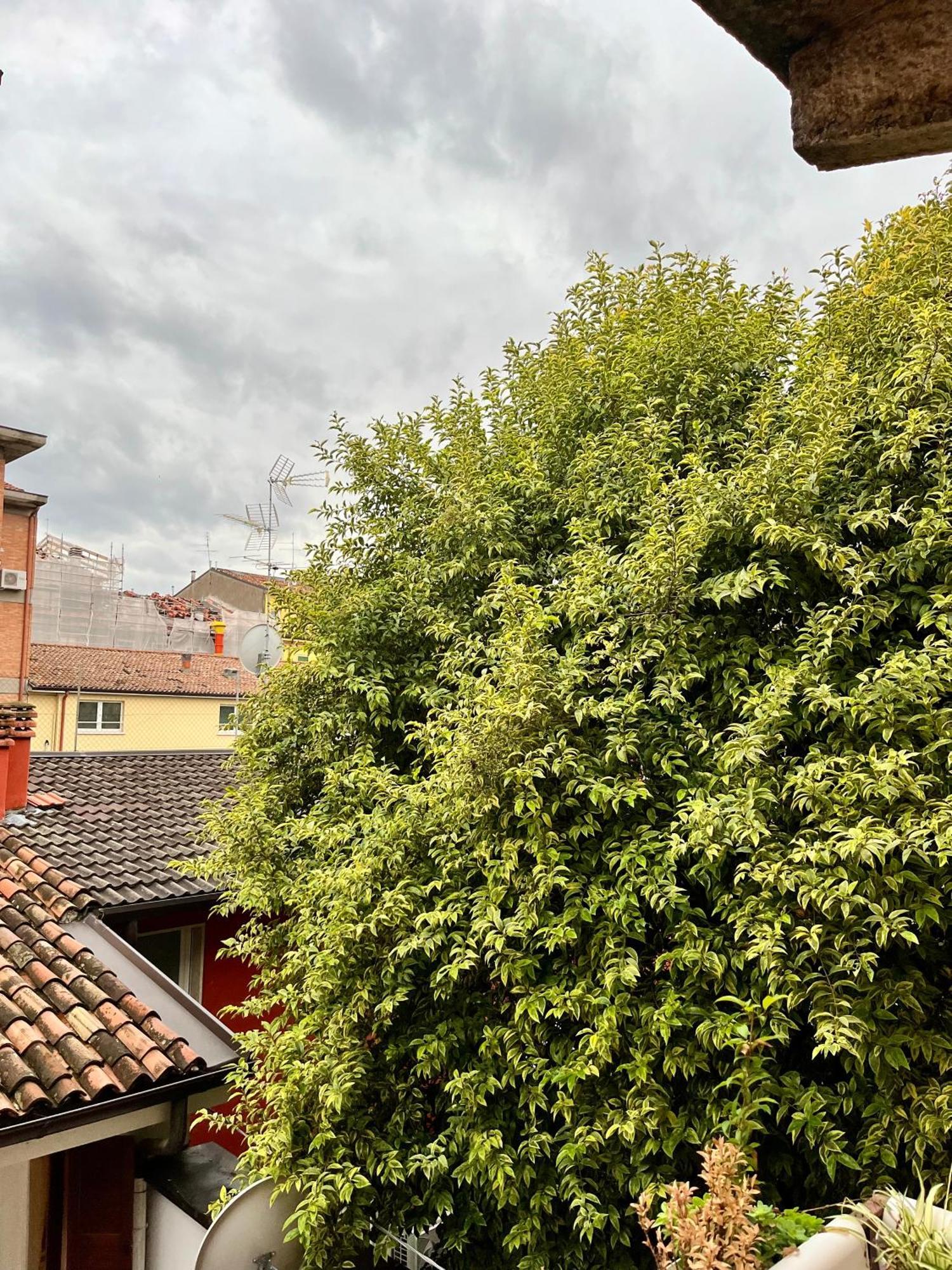Apartamento San Bernardino Monolocale Con Balcone *
